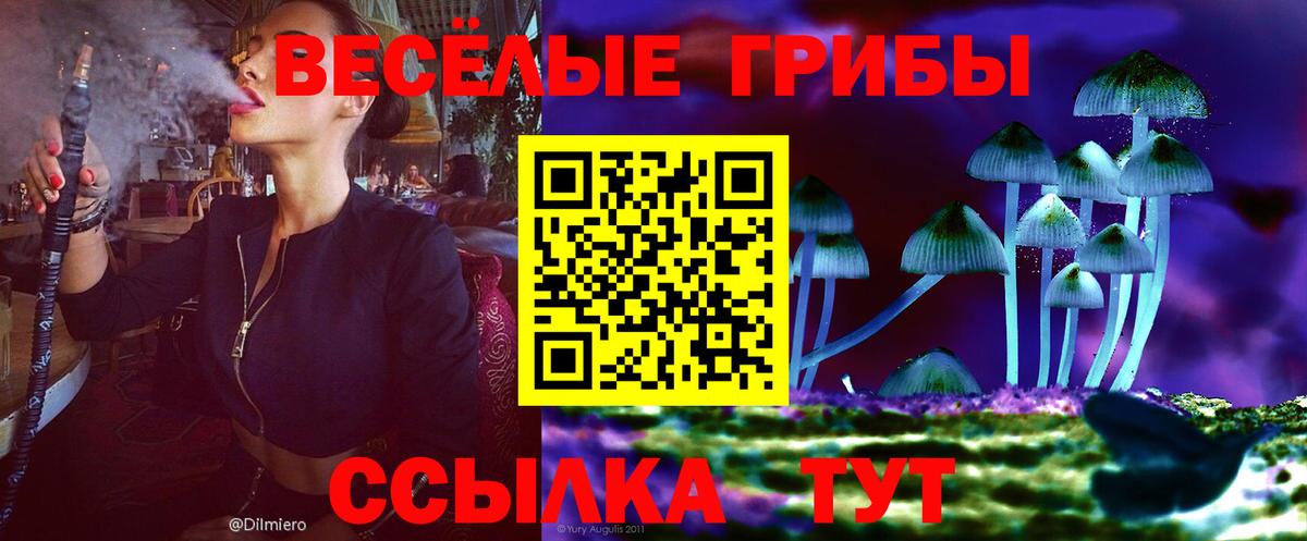Галлюциногенные грибы Magic Shrooms  Вход с VPN  Вольск 